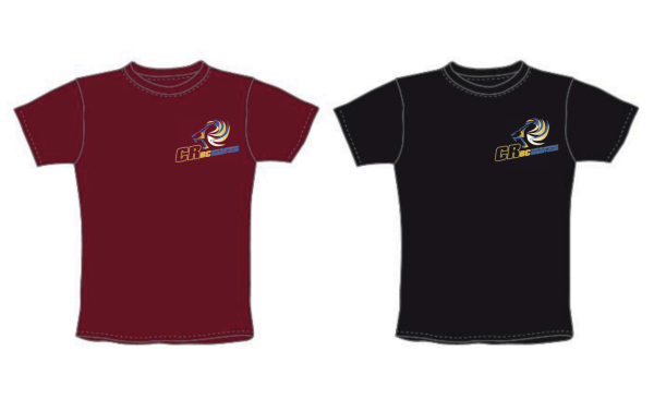 TEE SHIRT ADULTE